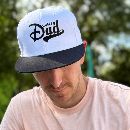 Theme Park Hat